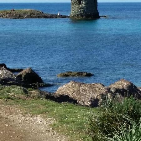 Maison Dans Le Cap Corse Villa Tomino Ngoại thất bức ảnh