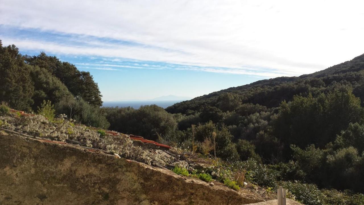 Maison Dans Le Cap Corse Villa Tomino Ngoại thất bức ảnh